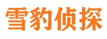 青岛外遇出轨调查取证